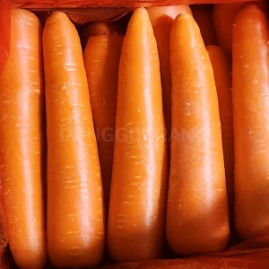 (/2L/BOX)